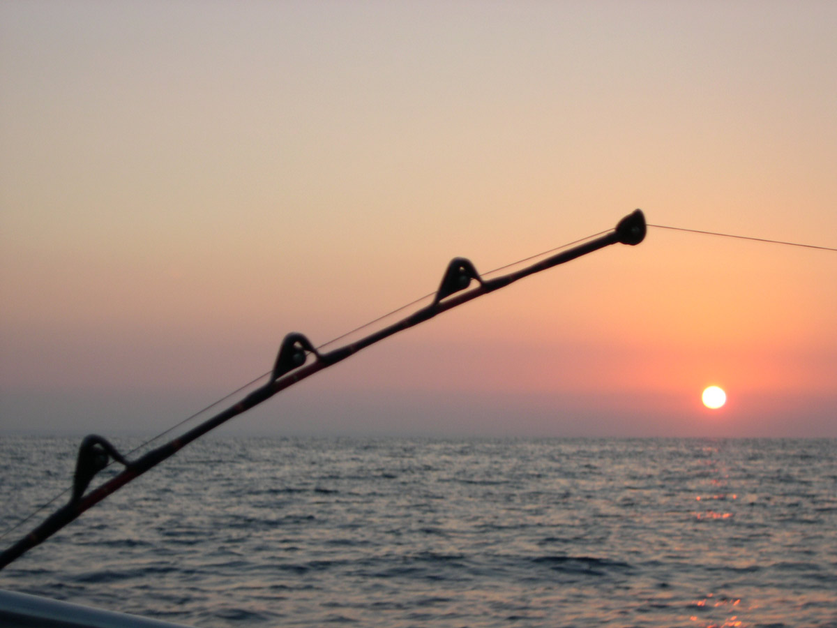 Pesca sportiva, definito il programma